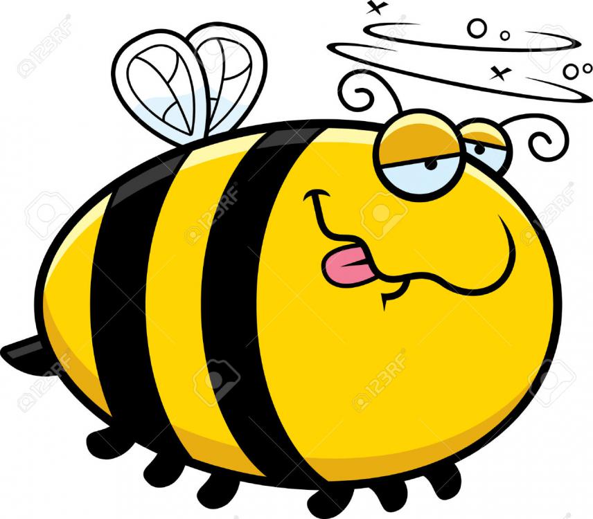 5a1b0cf4d4bc1_42995493-Une-illustration-de-bande-dessin-e-d-une-abeille-regardant-ivre--Banque-dimages.thumb.jpg.76f6746bab4b10f6b6bafd86116c2781.jpg