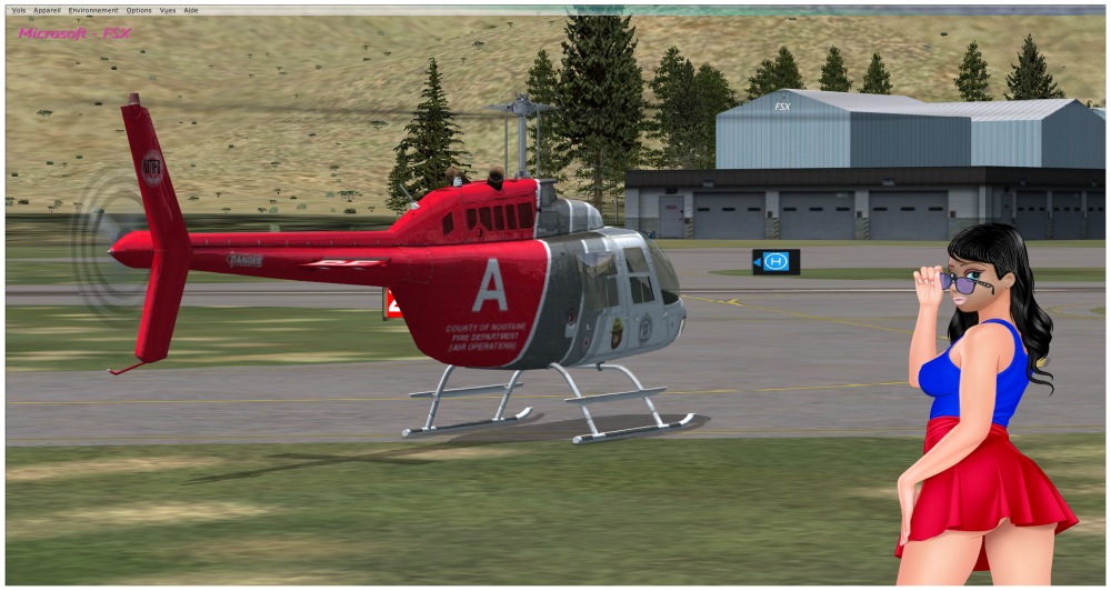 FSX Bell JETRANGER 206.png