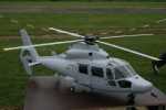 heliph51 IMG 1820.JPG bis