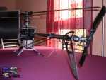 nounours130 TREX 600N PRO 016