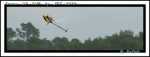 france 3D cup 182-border