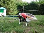 Rappy13 Raptor dans jardin