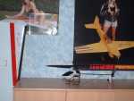 mon helico (4)