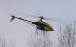 acalex Raptor