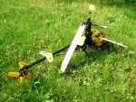 alexkites PICT74