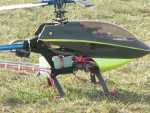 gugu raptor 002