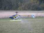 helico2 DSCN0008