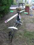 normal IMG 1840