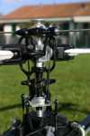 normal RAPTOR--Cyclique