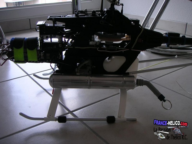 NUS Newcanopy (2)~1