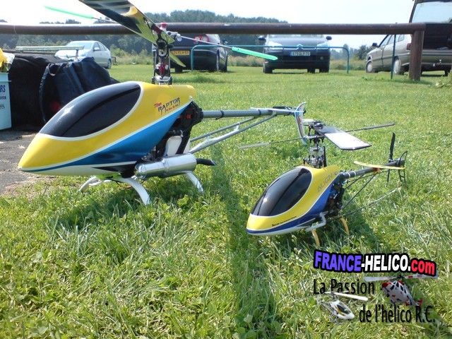 TomRC raptor4011