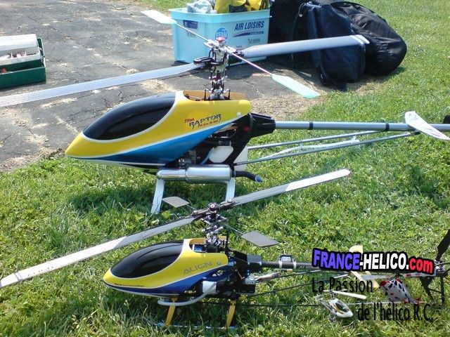 TomRC raptor4012