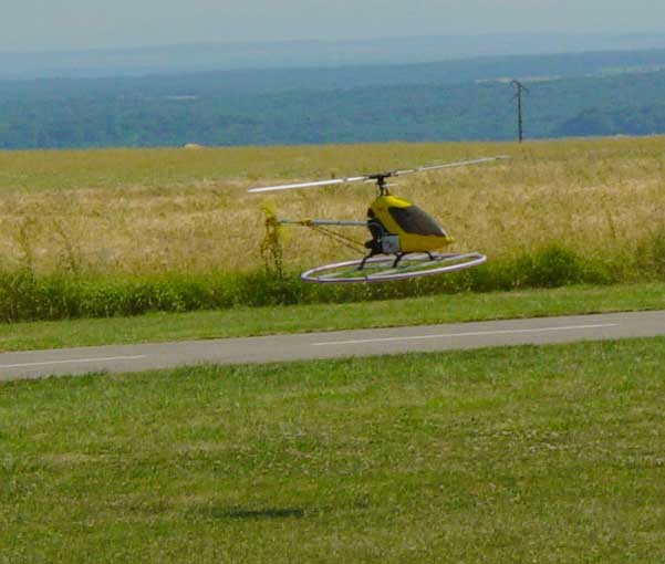 vautour-fauve Mosquito 00 web