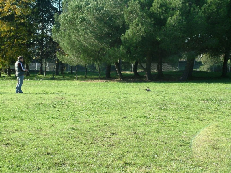 pitou photos122008 414