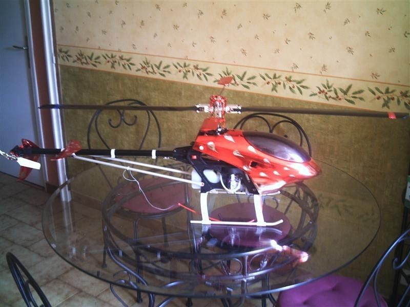 ptitrott PHTO0020 (Medium)
