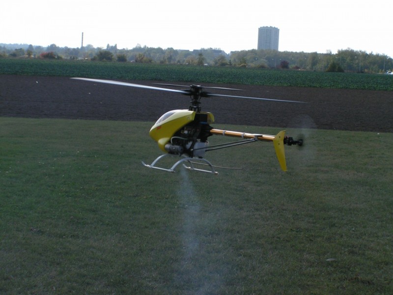 raptor Olivier 2005