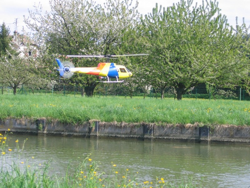 JR Voyager E "Ecureuil"2