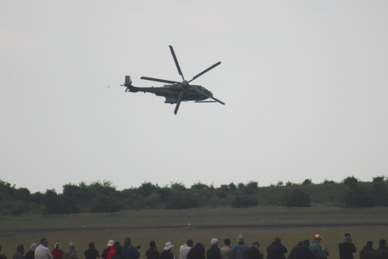 caracal1